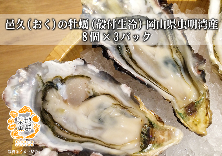 邑久(おく)の牡蠣 (殻付生冷) 岡山県虫明湾産 8個×3パック【冷凍便】の通販・お取り寄せ「築地魚群」