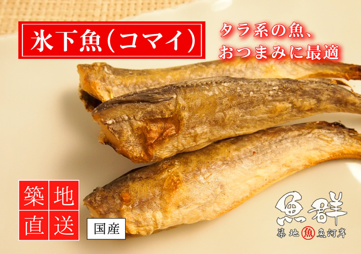 干物 氷下魚 コマイ 500g 冷凍便 の通販 お取り寄せ 築地魚群