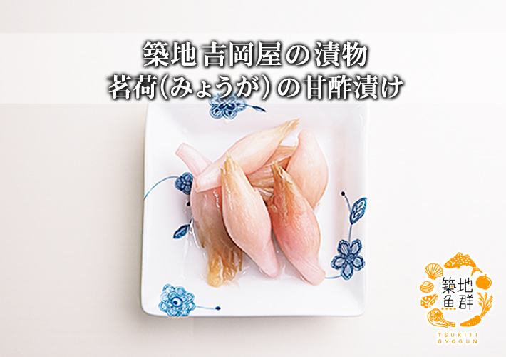 築地吉岡屋の漬物「茗荷(みょうが)の甘酢漬け」【冷蔵便】の通販・お取り寄せ「築地魚群」