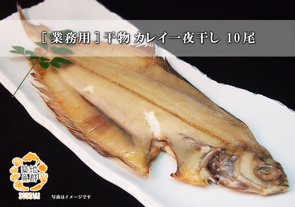 業務用 干物 カレイ一夜干し10尾 冷凍便 の通販 お取り寄せ 築地魚群