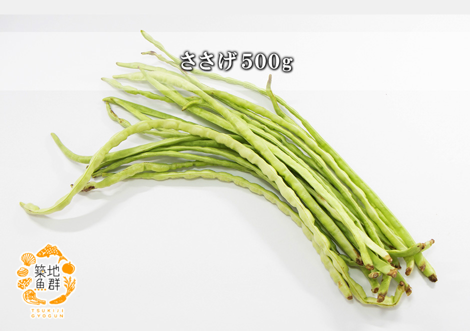 十六ささげ 長いインゲン 10Kg クール便 インゲン - 野菜