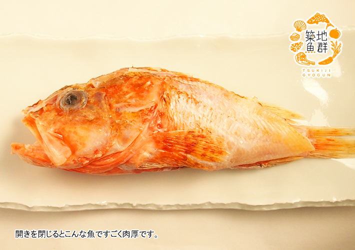 干物カサゴの開き 冷凍便 の通販 お取り寄せ 築地魚群