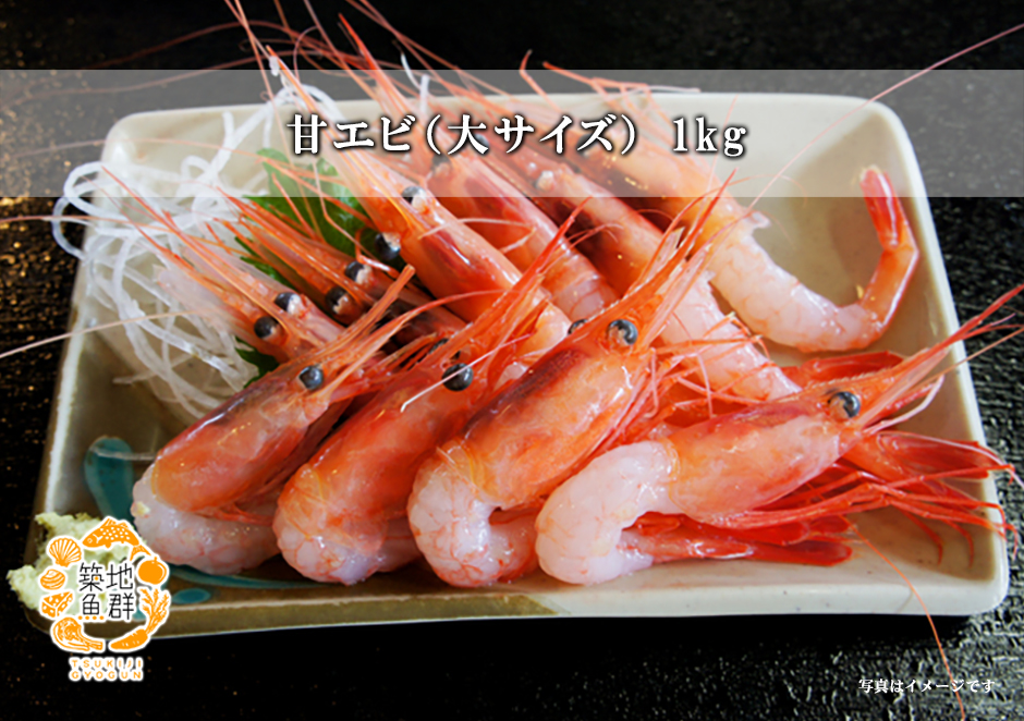 甘エビ(大サイズ)1kg【冷凍便】の通販・お取り寄せ「築地魚群」