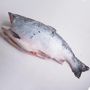 銀鮭ドレス(チリ産)約3kg【冷凍便】