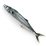 天然さわら1尾(2-3Kg前後サイズ)【国産】【冷蔵便】