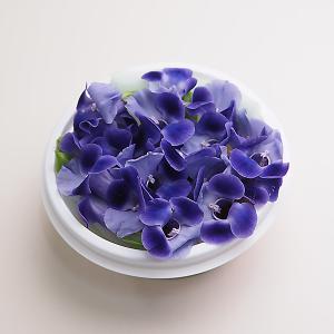 [飾り花] エディブルフラワー(食用花)青・紫色 2パック【冷蔵便】