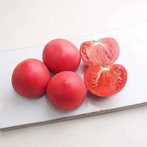 [促成野菜] フルーツトマト 1kg【冷蔵便】