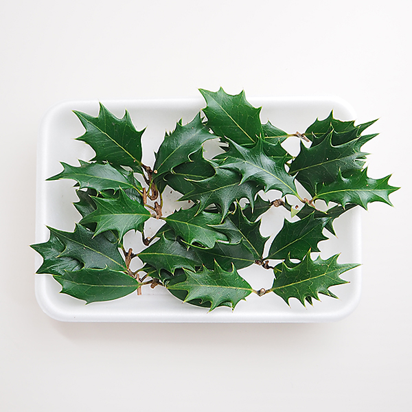 青掻敷 ひいらぎ2パック 約枚 2 冷蔵便 の通販 お取り寄せ 築地魚群