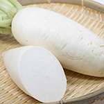 [加賀野菜]源助大根1本【冷蔵便】