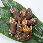 カメノテ500g【冷凍便】