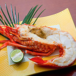 釜茹で 伊勢海老1尾500gハーフカット【冷凍便】