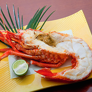 釜茹で 伊勢海老1尾500gハーフカット【冷凍便】