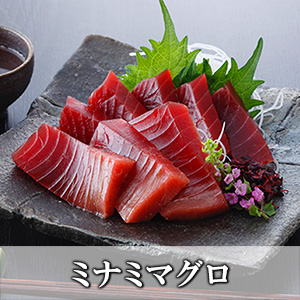 ミナミマグロ(インドマグロ)赤身・中トロセット1kg【冷凍便】