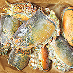 オマールヘッド(オマール海老の頭)1Kg【冷凍便】