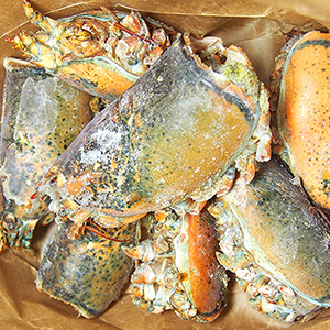 オマールヘッド(オマール海老の頭)1Kg【冷凍便】