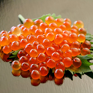 塩いくら1Kg【冷凍便(冷蔵便可)】