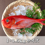 金目鯛1尾(1-1.5Kgサイズ)【冷蔵便】