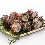 活さざえ1kg【冷蔵便】