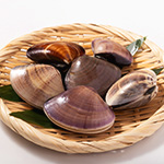 活はまぐり500g【冷蔵便】