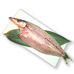 干物カマスの開き1枚【冷凍便】