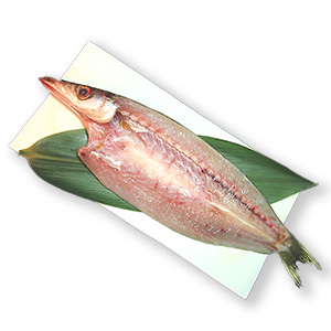 干物カマスの開き1枚【冷凍便】