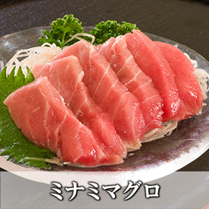 ミナミマグロ(インドマグロ)中トロ500g【冷凍便】