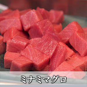 ミナミマグロ(インドマグロ)切り落とし500g【冷凍便】