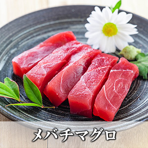 メバチマグロ赤身500g【冷凍便】