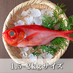 金目鯛1尾(1.5-2Kgサイズ)【冷蔵便】