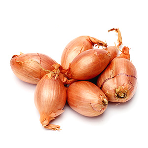エシャロット500g【冷蔵便】