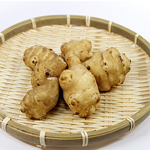 トピナンブール(菊芋)500g【冷蔵便】