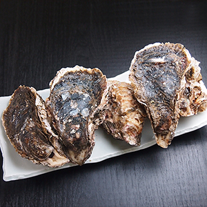 生食用 岩牡蠣 5個【国産】【冷蔵便】