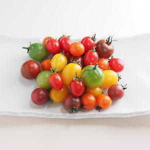 カラフル ミニトマト 1kg 国産 【冷蔵便】