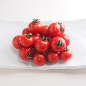 フルティカフルーツトマト 1kg 長崎県産【冷蔵便】