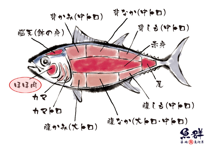 マグロ ほほ肉 500g 冷凍便 の通販 お取り寄せ 築地魚群