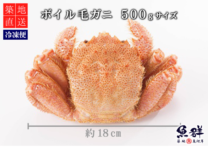 ボイル毛ガニ 1杯 500gサイズ 北海道産 冷凍便 の通販 お取り寄せ 築地魚群