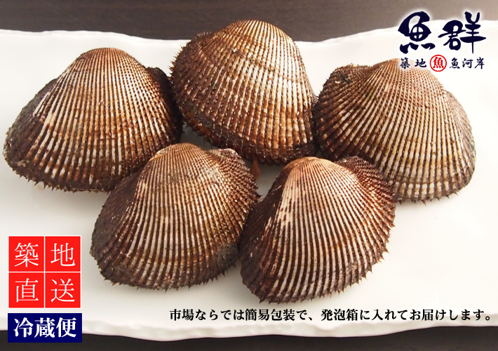 赤貝 国産 500g 冷蔵便 の通販 お取り寄せ 築地魚群