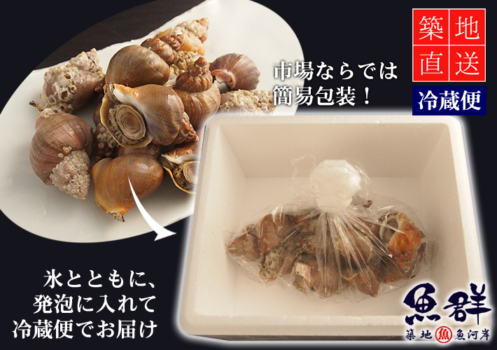 磯つぶ貝 エゾバイ 500g 国産 冷蔵便 の通販 お取り寄せ 築地魚群