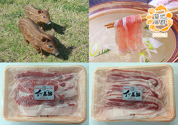 イブ美豚(イノブタ)焼肉セット(ロース150g×2、バラ150g×2) 【冷凍便】/商品代引不可の通販・お取り寄せ「築地魚群」