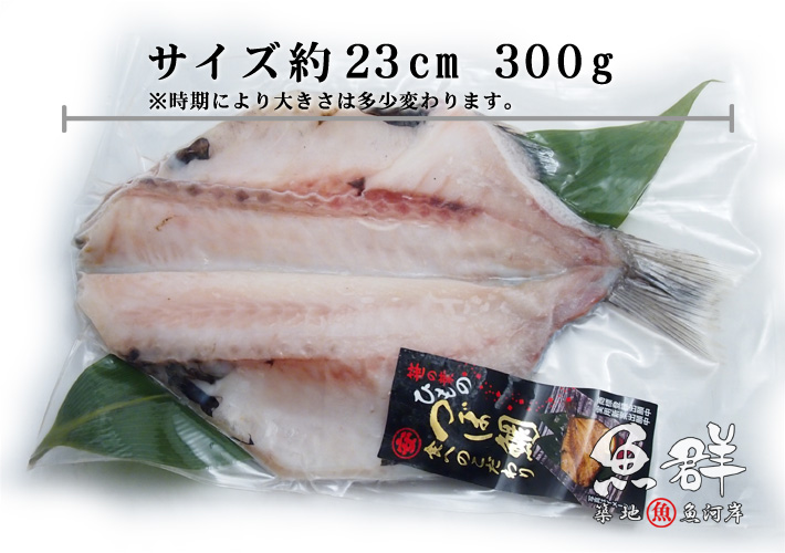 干物 つぼ鯛の開き 大サイズ 1枚 冷凍便 の通販 お取り寄せ 築地魚群