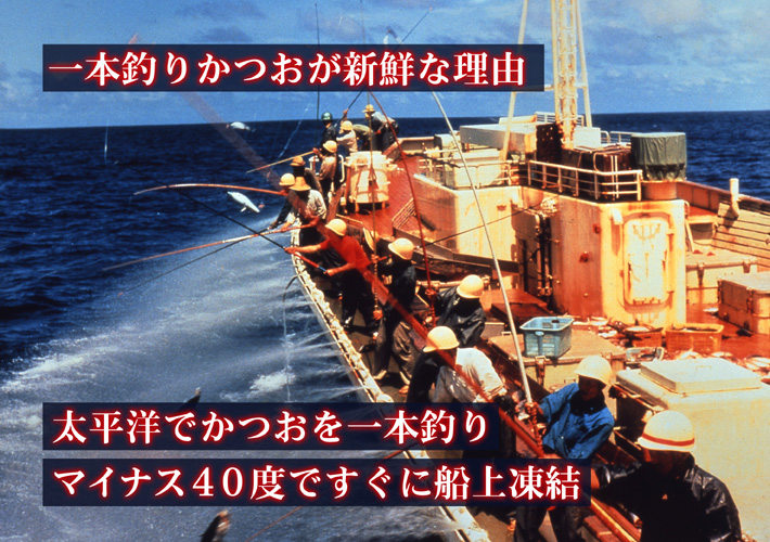 一本釣りかつおのたたき 焼津産 冷凍便 の通販 お取り寄せ 築地魚群