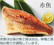 赤魚 赤魚は白身の魚で身は淡白。味噌と酒粕の香りが調和しています。