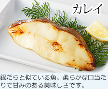 カレイ 銀だらと似ている魚。柔らかな口当たりで甘みのある美味しさです。