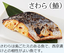 さわら(鰆) さわらは歯ごたえのある魚で、西京漬けとの相性がよい魚です。