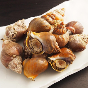 貝の通販・お取り寄せ「築地魚群」